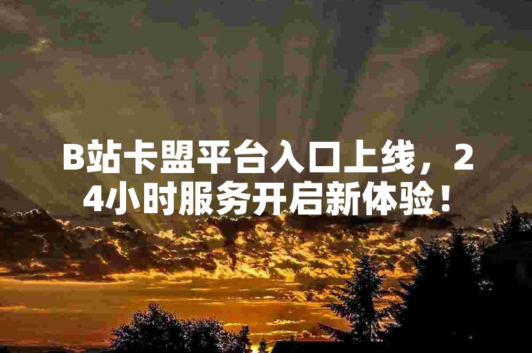 B站卡盟平台入口上线，24小时服务开启新体验！