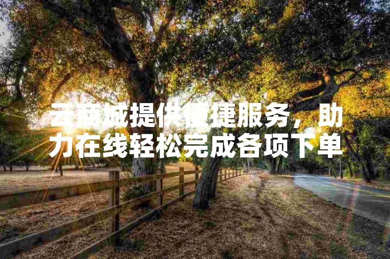 云商城提供便捷服务，助力在线轻松完成各项下单操作。