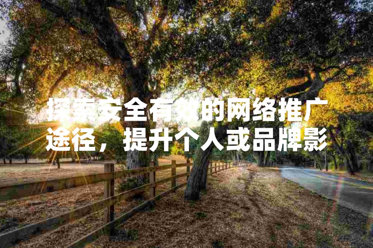 探索安全有效的网络推广途径，提升个人或品牌影响力。