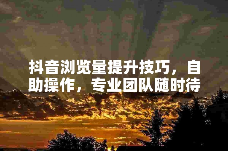 抖音浏览量提升技巧，自助操作，专业团队随时待命。