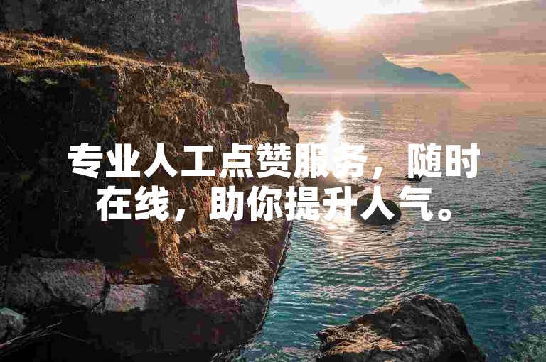 专业人工点赞服务，随时在线，助你提升人气。