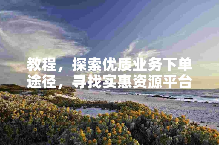 教程，探索优质业务下单途径，寻找实惠资源平台。