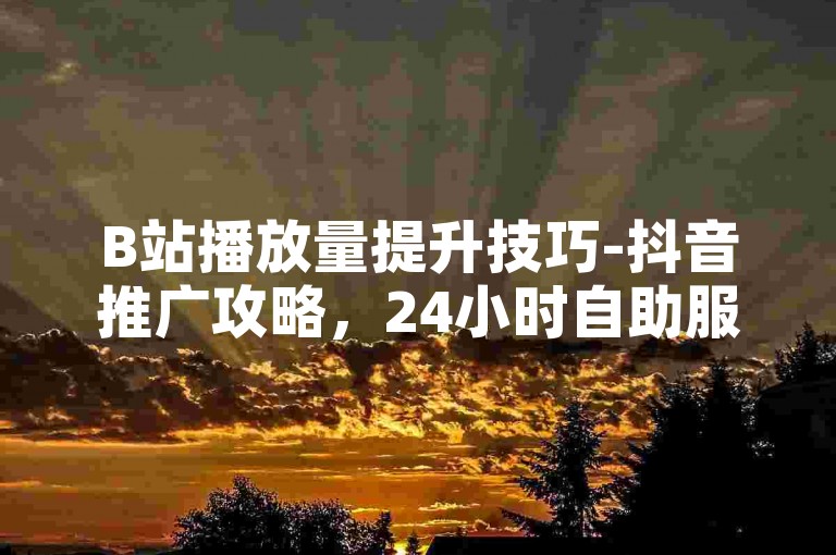 B站播放量提升技巧-抖音推广攻略，24小时自助服务指南