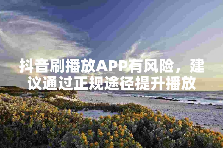 抖音刷播放APP有风险，建议通过正规途径提升播放量。