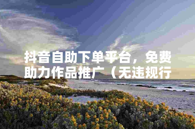 抖音自助下单平台，免费助力作品推广（无违规行为）