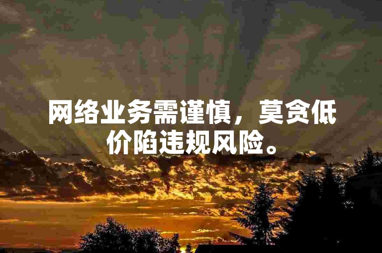 网络业务需谨慎，莫贪低价陷违规风险。