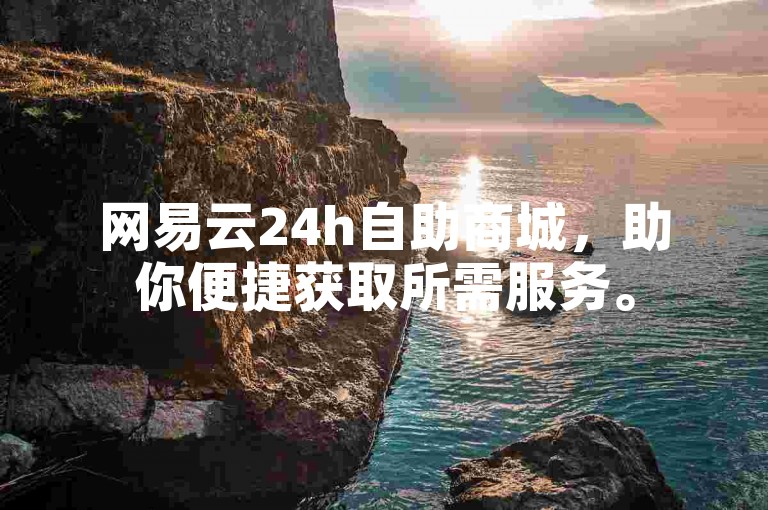 网易云24h自助商城，助你便捷获取所需服务。