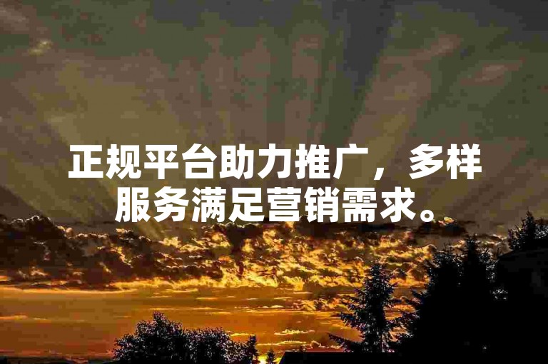 正规平台助力推广，多样服务满足营销需求。