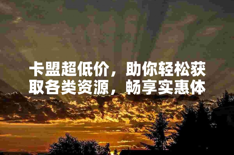 卡盟超低价，助你轻松获取各类资源，畅享实惠体验。