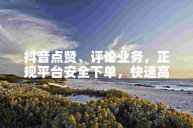 抖音点赞、评论业务，正规平台安全下单，快速高效！