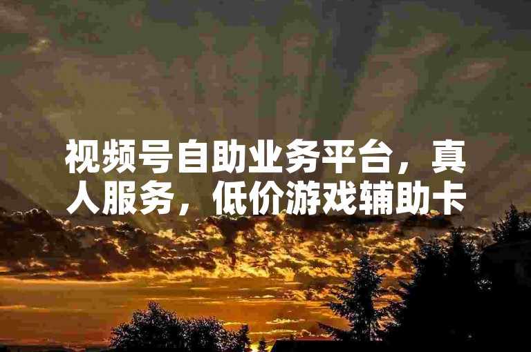 视频号自助业务平台，真人服务，低价游戏辅助卡盟等你来体验。