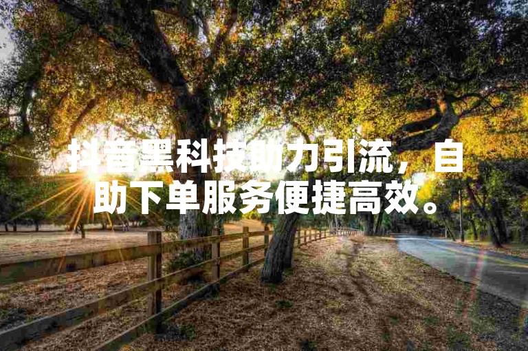 抖音黑科技助力引流，自助下单服务便捷高效。
