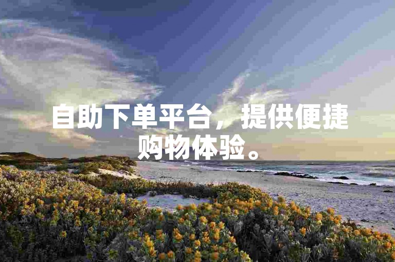自助下单平台，提供便捷购物体验。