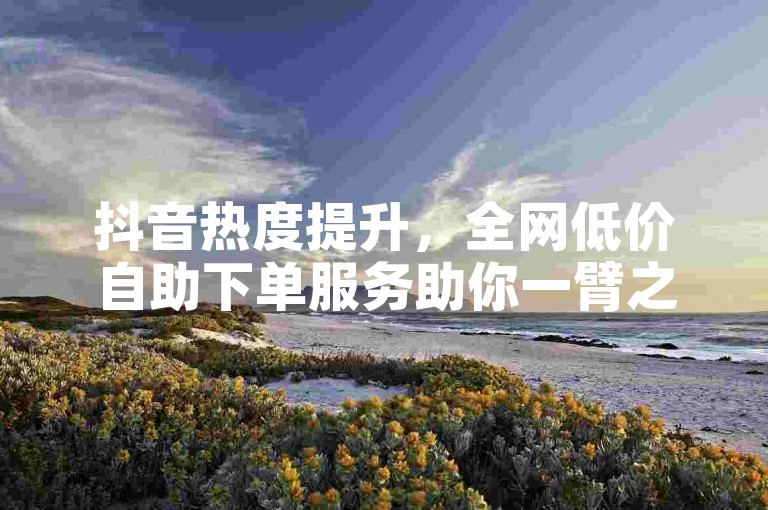 抖音热度提升，全网低价自助下单服务助你一臂之力。