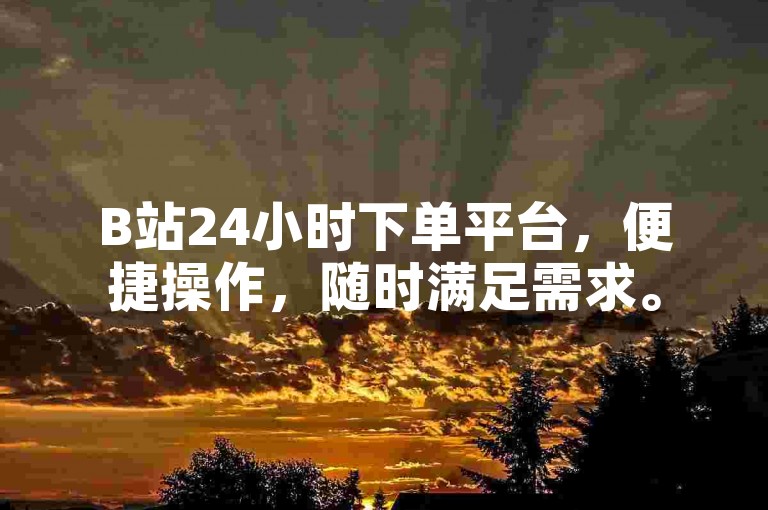 B站24小时下单平台，便捷操作，随时满足需求。