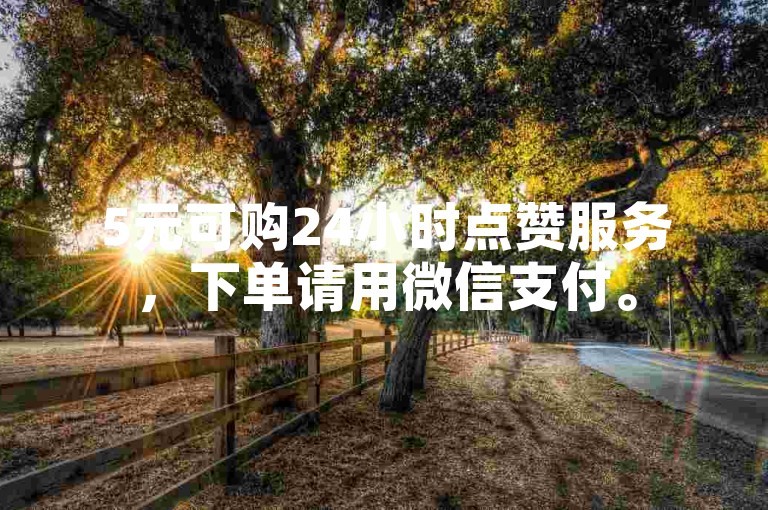 5元可购24小时点赞服务，下单请用微信支付。