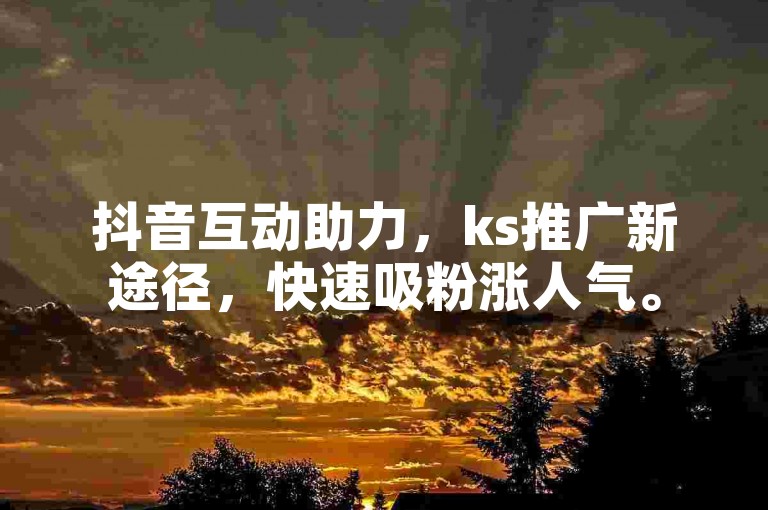 抖音互动助力，ks推广新途径，快速吸粉涨人气。