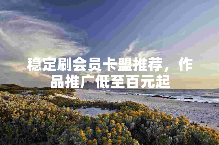 稳定刷会员卡盟推荐，作品推广低至百元起
