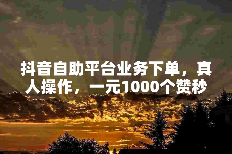 抖音自助平台业务下单，真人操作，一元1000个赞秒到软件。