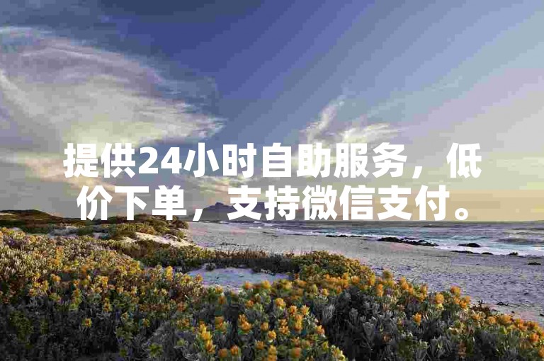 提供24小时自助服务，低价下单，支持微信支付。