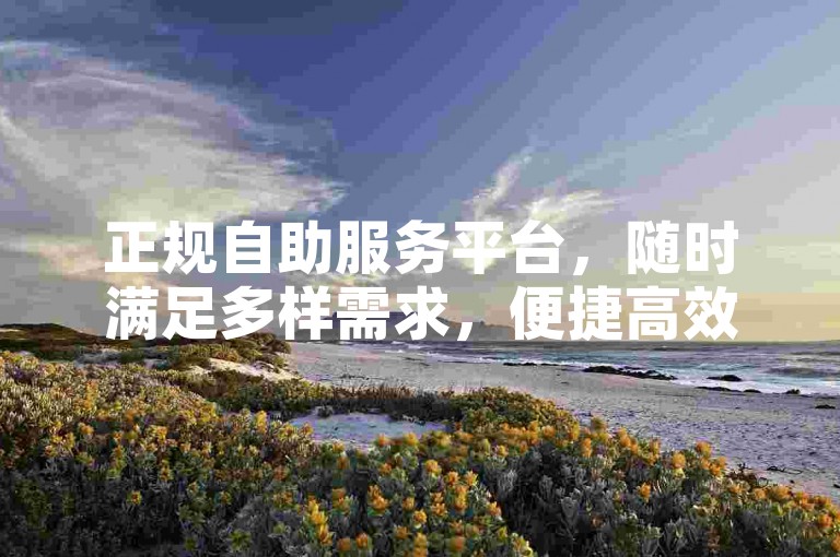 正规自助服务平台，随时满足多样需求，便捷高效。