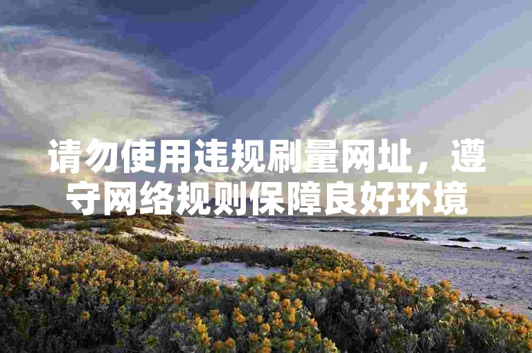 请勿使用违规刷量网址，遵守网络规则保障良好环境。