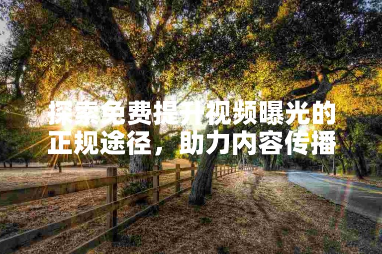 探索免费提升视频曝光的正规途径，助力内容传播。