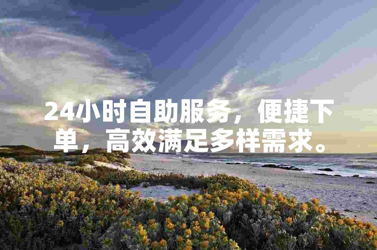 24小时自助服务，便捷下单，高效满足多样需求。