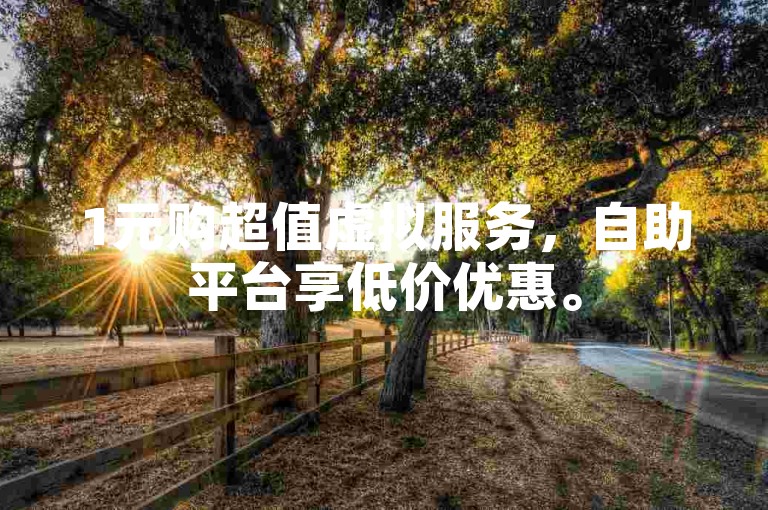 1元购超值虚拟服务，自助平台享低价优惠。