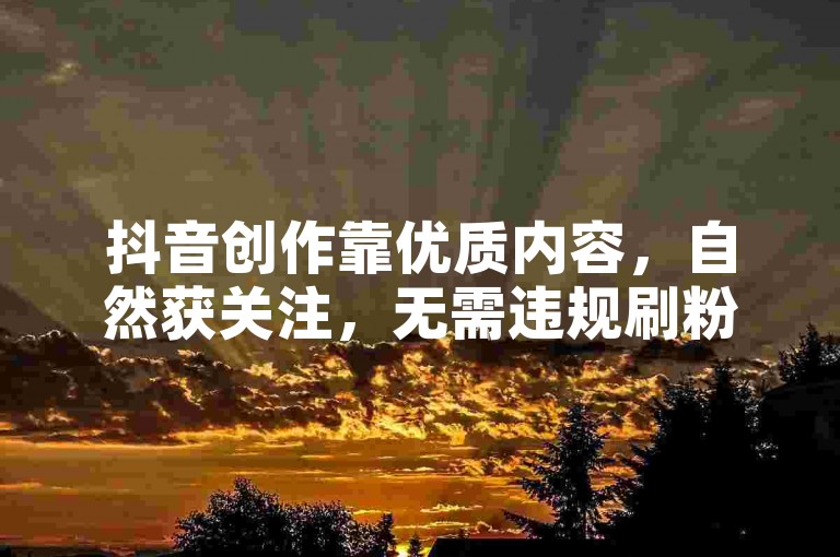 抖音创作靠优质内容，自然获关注，无需违规刷粉刷赞。