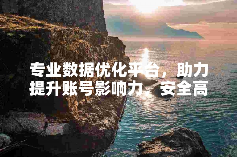 专业数据优化平台，助力提升账号影响力，安全高效。