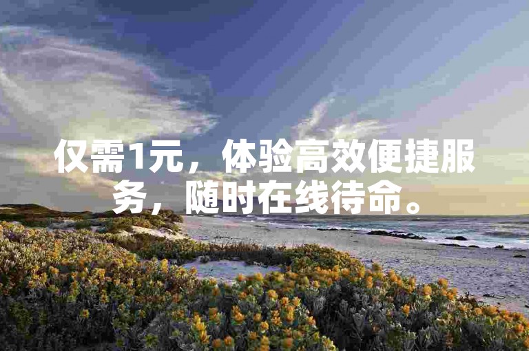 仅需1元，体验高效便捷服务，随时在线待命。