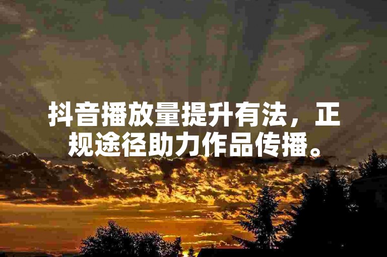 抖音播放量提升有法，正规途径助力作品传播。