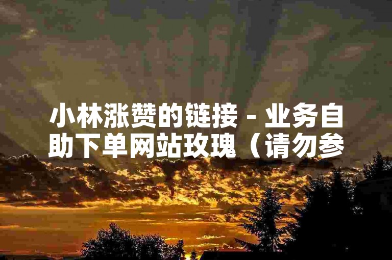 小林涨赞的链接 - 业务自助下单网站玫瑰（请勿参与违规操作）