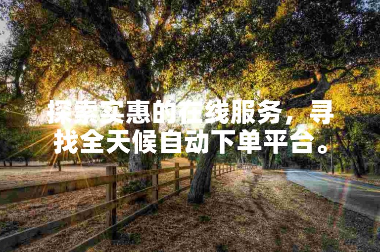 探索实惠的在线服务，寻找全天候自动下单平台。