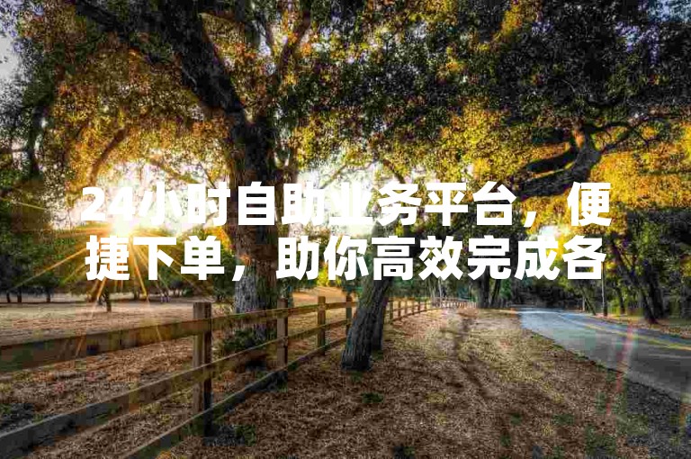 24小时自助业务平台，便捷下单，助你高效完成各项任务。