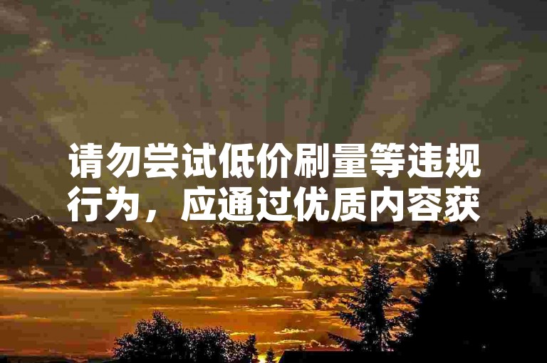 请勿尝试低价刷量等违规行为，应通过优质内容获自然流量。