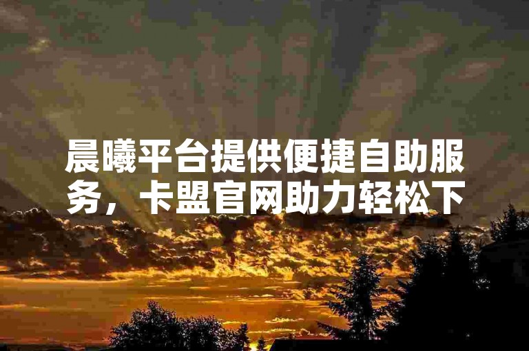 晨曦平台提供便捷自助服务，卡盟官网助力轻松下单。