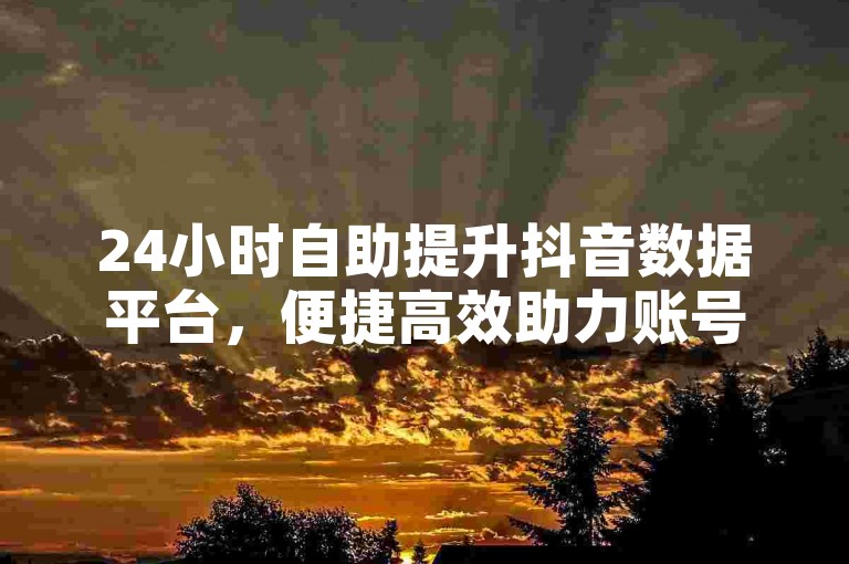 24小时自助提升抖音数据平台，便捷高效助力账号成长。