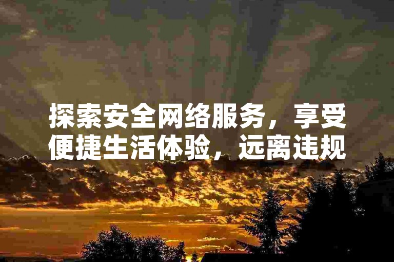 探索安全网络服务，享受便捷生活体验，远离违规操作。