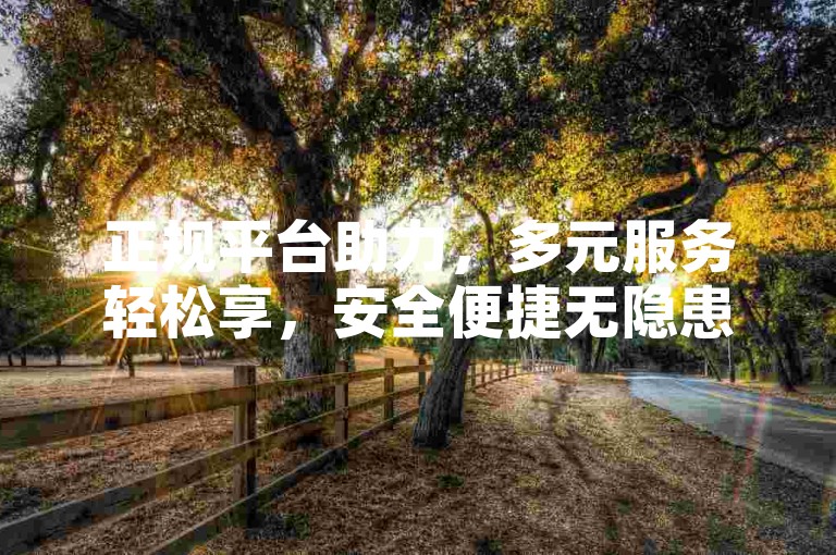 正规平台助力，多元服务轻松享，安全便捷无隐患。
