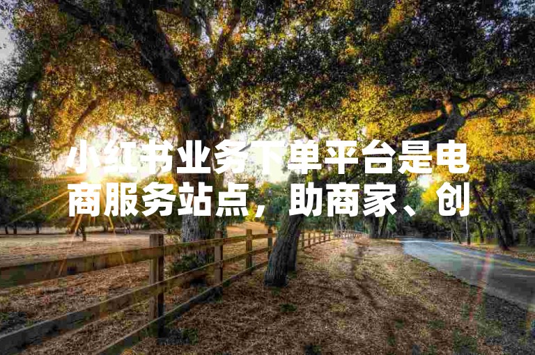 小红书业务下单平台是电商服务站点，助商家、创作者高效交易。