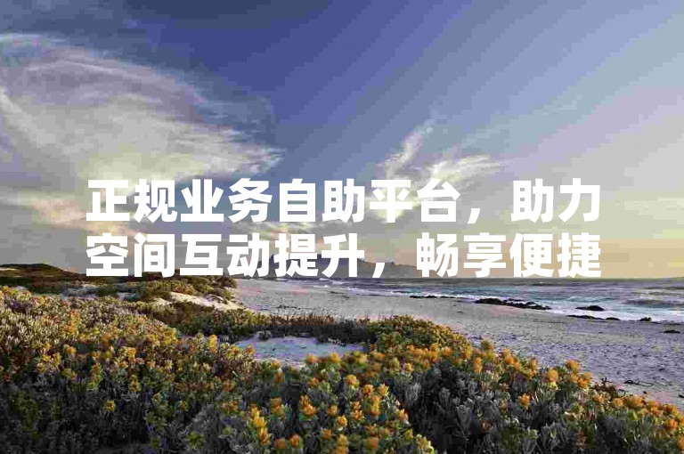 正规业务自助平台，助力空间互动提升，畅享便捷服务体验。