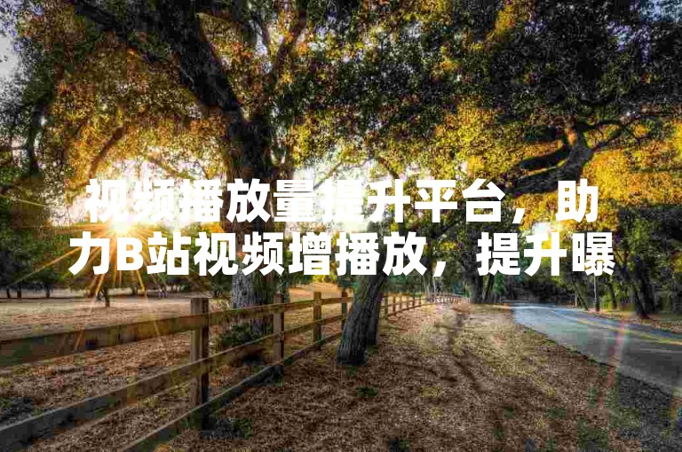 视频播放量提升平台，助力B站视频增播放，提升曝光效果！