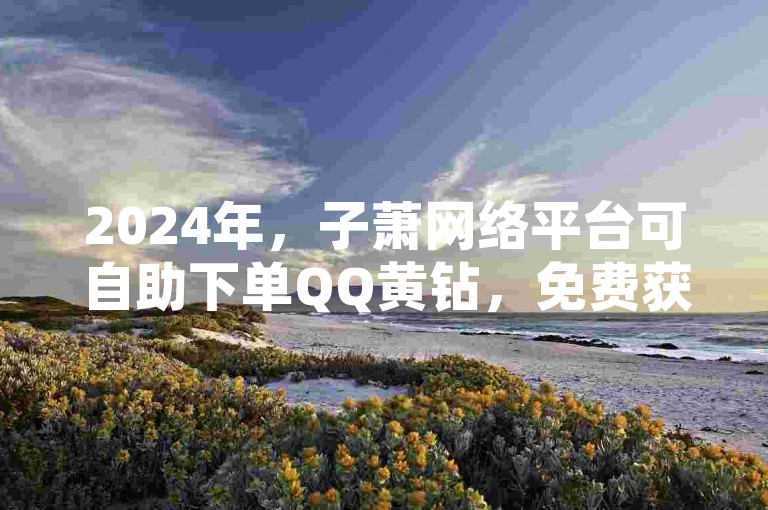 2024年，子萧网络平台可自助下单QQ黄钻，免费获取哦！