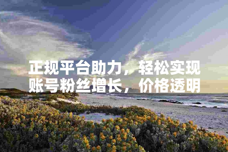 正规平台助力，轻松实现账号粉丝增长，价格透明无套路。