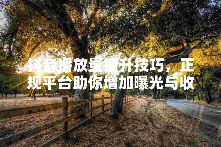 抖音播放量提升技巧，正规平台助你增加曝光与收益。