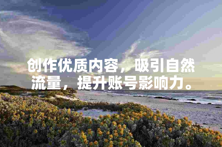 创作优质内容，吸引自然流量，提升账号影响力。