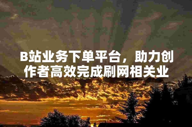 B站业务下单平台，助力创作者高效完成刷网相关业务。
