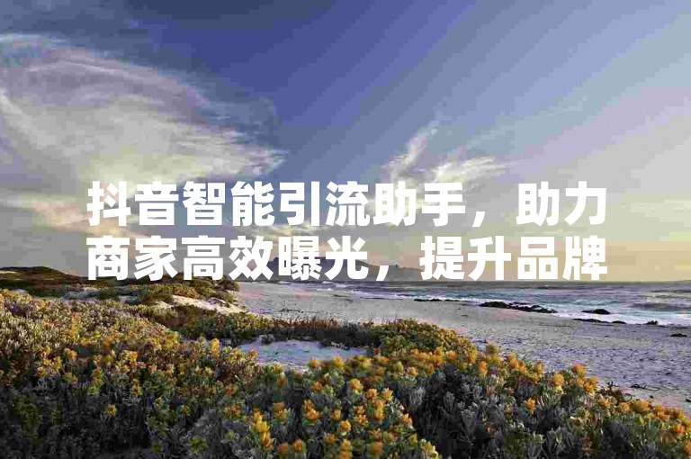 抖音智能引流助手，助力商家高效曝光，提升品牌影响力。